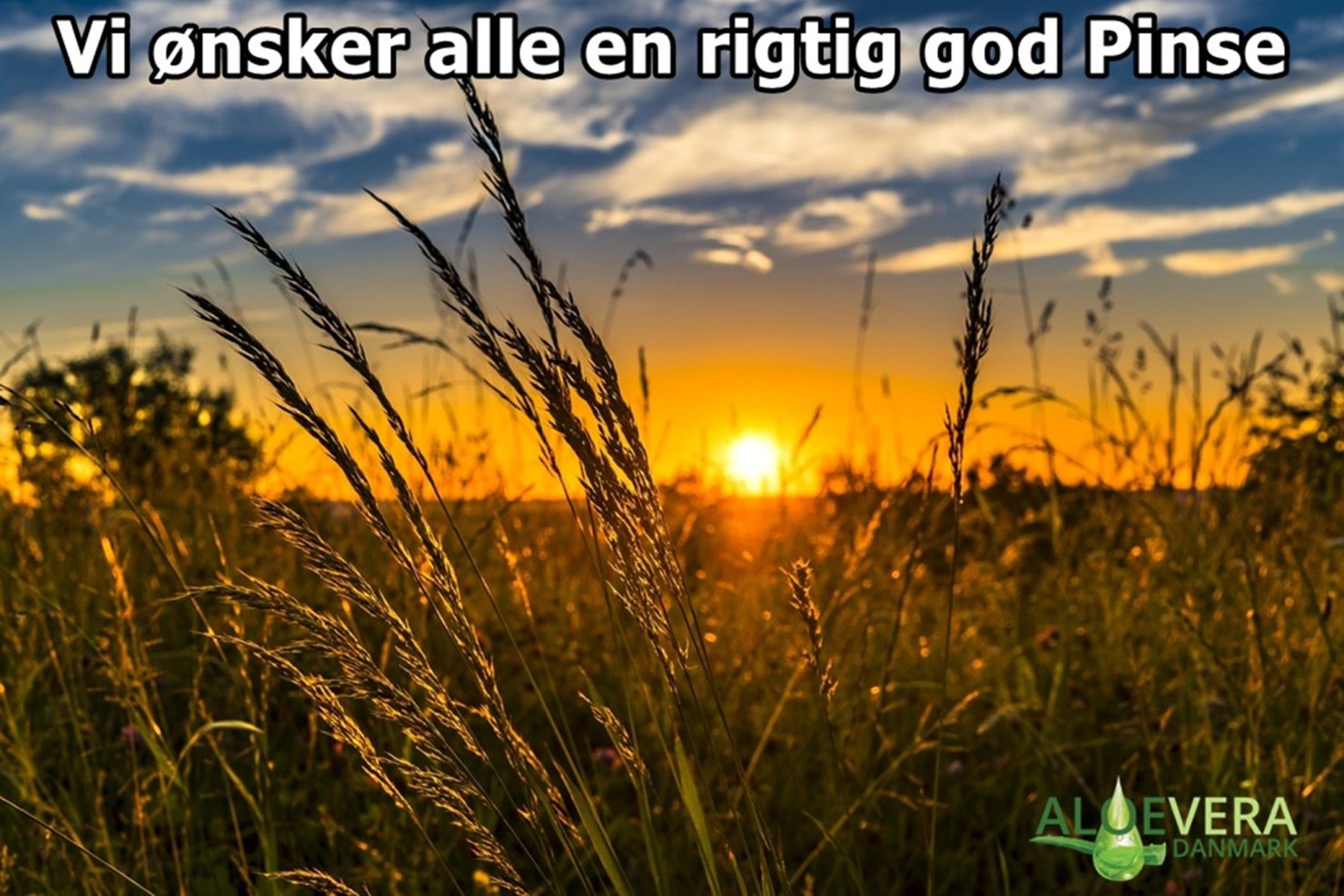 Rigtig god pinse