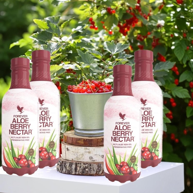 ALOE BERRY NECTAR 4 PAK 
