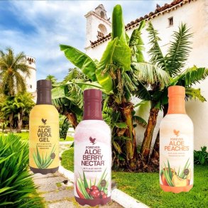 Forever Aloe Berry | Combo 3 pak