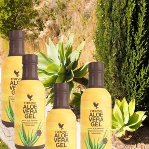 ALOE VERA GEL 1x4 pak  Guldvinder ved Nourish Awards 2023