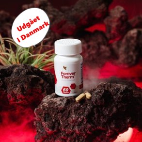  THERM udgr | energien fortstter her