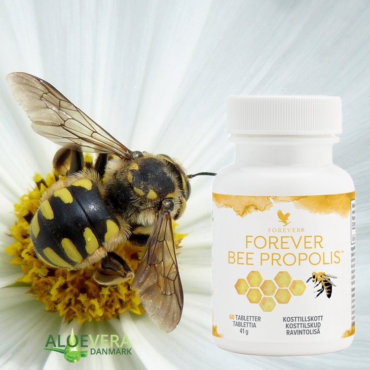 FOREVER BEE PROPOLIS styrker kroppens naturlige forsvar