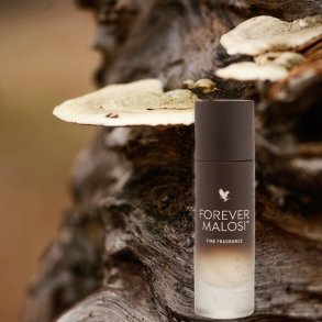 FOREVER MALOSI parfume til ham - Vegansk